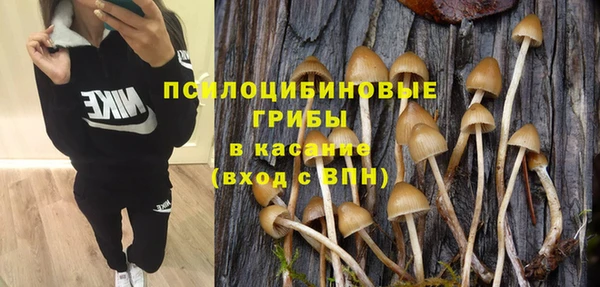 шишки Аркадак